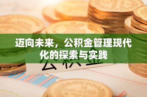 南充迈向未来，公积金管理现代化的探索与实践