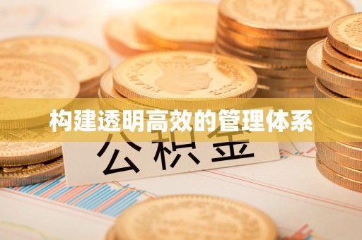 南充构建透明高效的管理体系