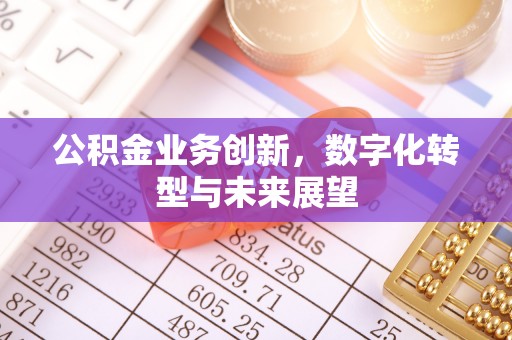 南充公积金业务创新，数字化转型与未来展望