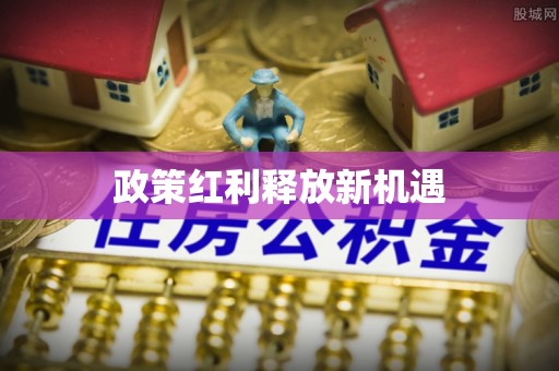 南充政策红利释放新机遇